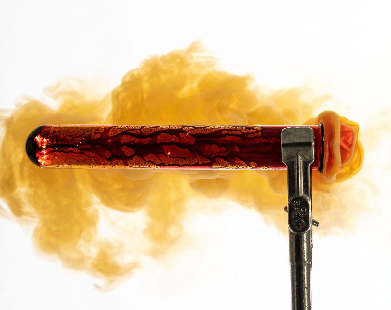 Short Term Study Exchange