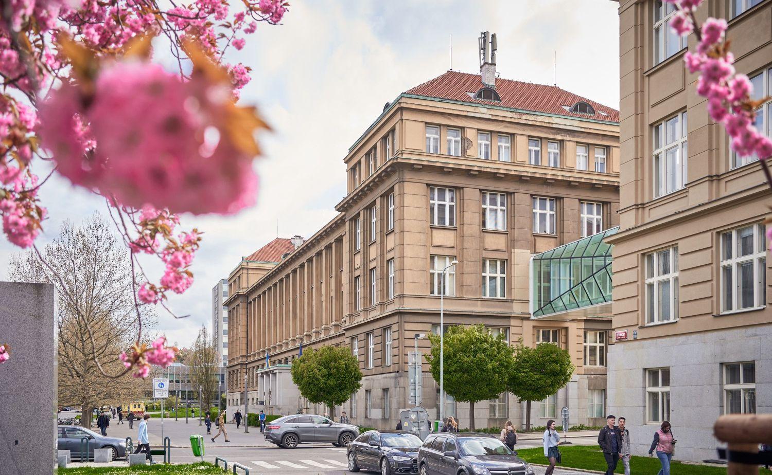 Accommodation for Trainees