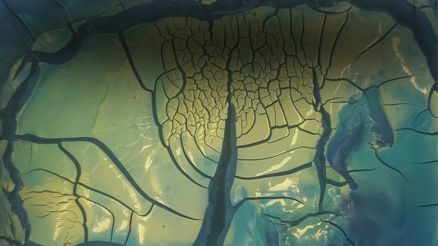 Master Double Degree